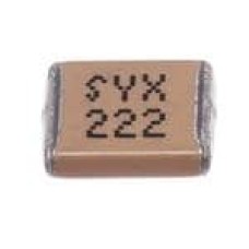 2220YA250222KSTSYX