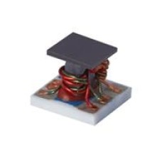 SBTC-2-10X+